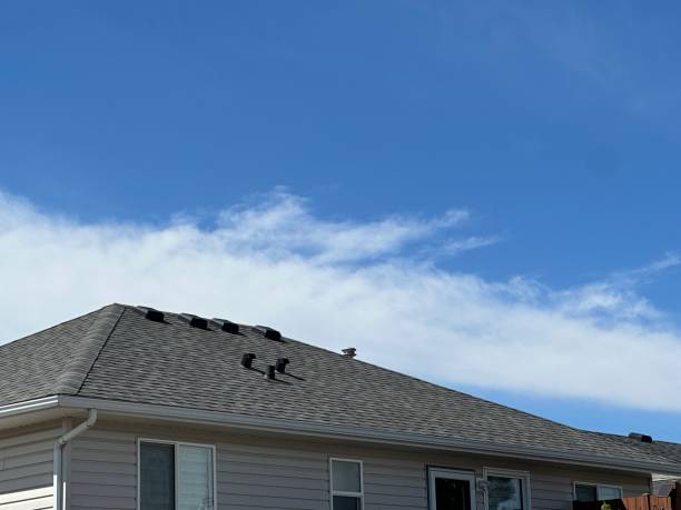 Best Skylight Installation and Repair  in Hesperia, CA